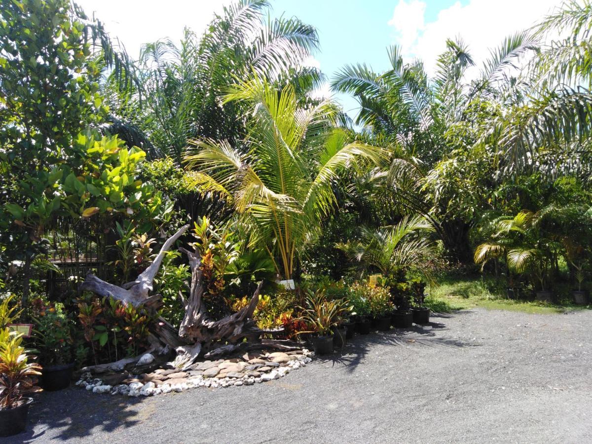 Krasom Homestay بانغا - نغا المظهر الخارجي الصورة