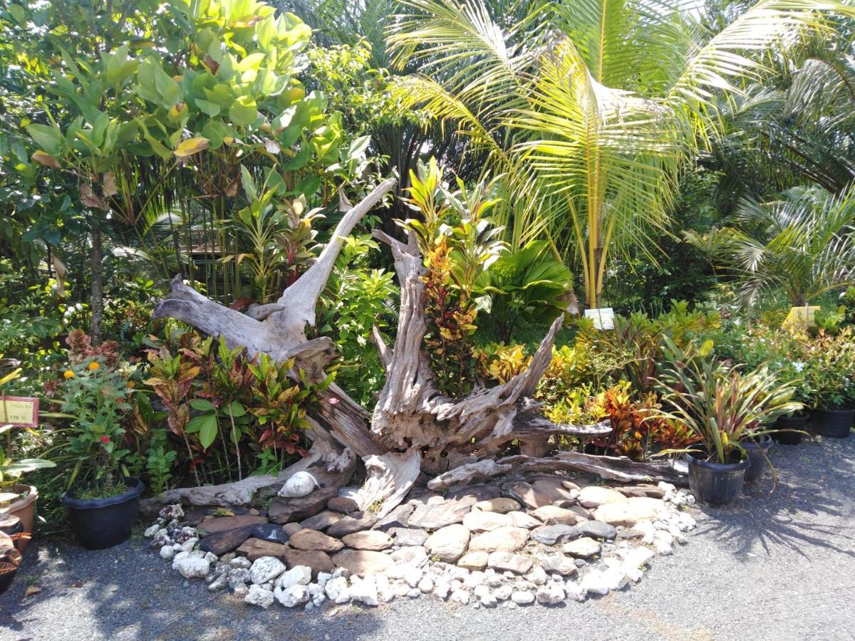 Krasom Homestay بانغا - نغا المظهر الخارجي الصورة