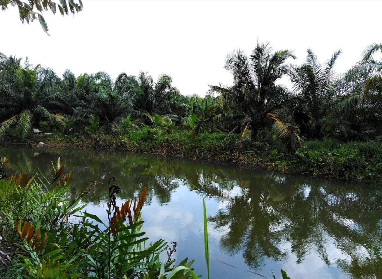 Krasom Homestay بانغا - نغا المظهر الخارجي الصورة